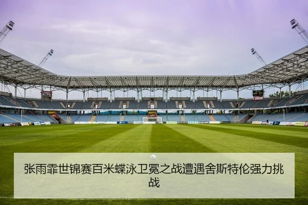 张雨霏世锦赛百米蝶泳卫冕之战遭遇舍斯特伦强力挑战（yaxin）